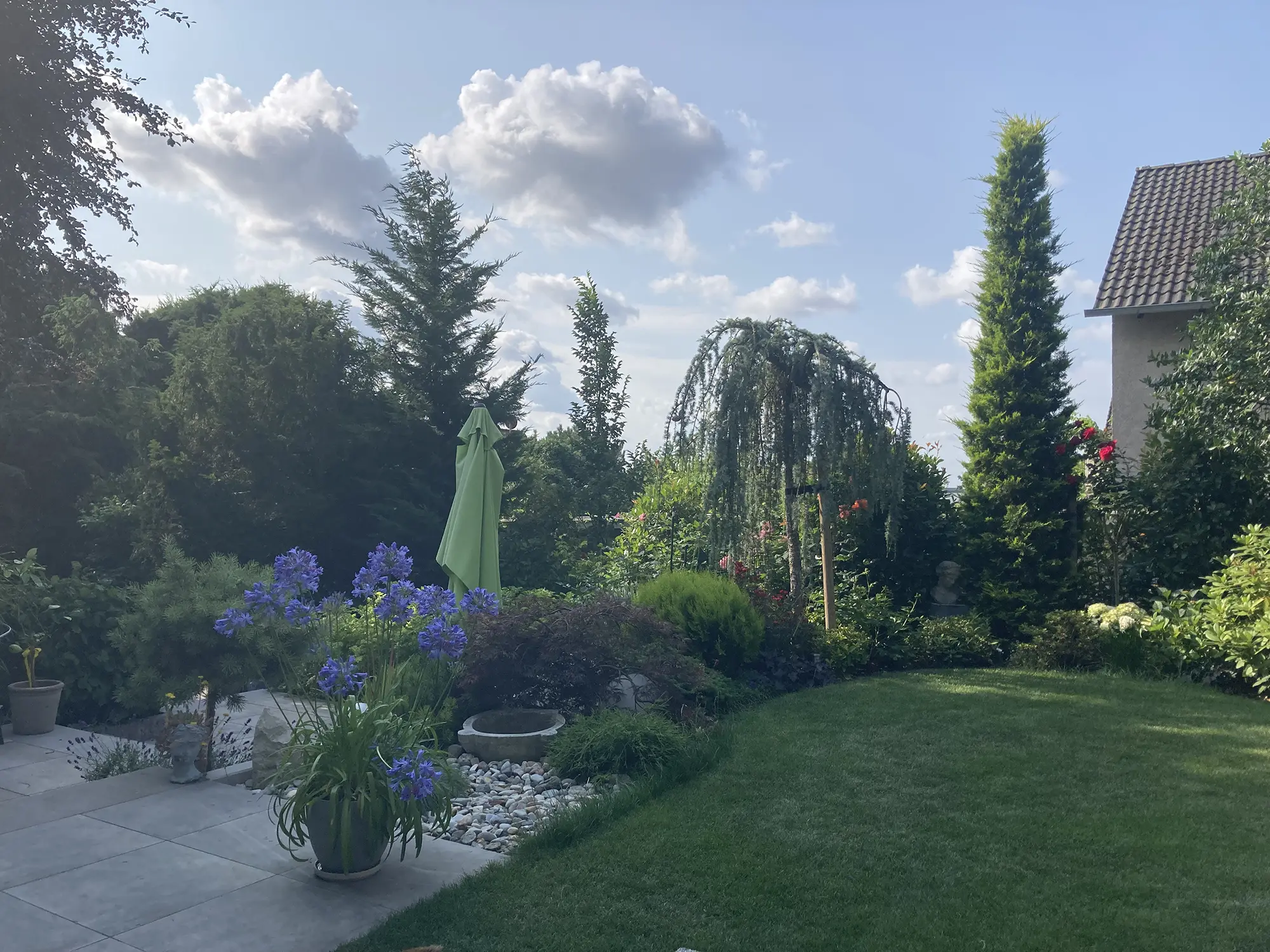 Grüner Rasen im Garten